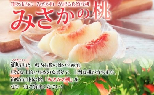  ＜25年発送先行予約＞桃 秀品 4.5kg みさかの桃 糖度10％以上 ※クール便配送 177-006