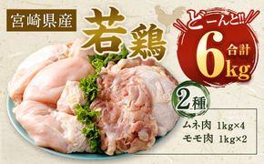 ＜宮崎県産若鶏6kgセット＞翌月末迄に順次出荷【c430_hn_x4】