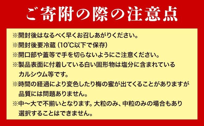 昔ながらの梅干し 訳あり つぶれ梅 約1kg 500g 2パック 農業法人 株式会社紀州梅香《30日以内に出荷予定(土日祝除く)》 和歌山県 日高川町 梅 うめ フルーツ 果物---wshg_kbk5_30d_26_12000_1kg---