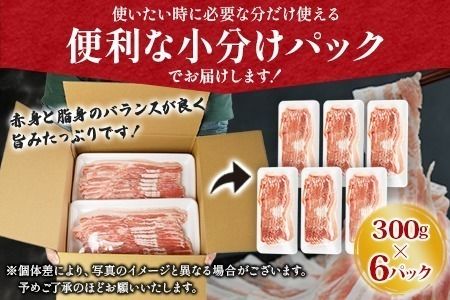 ＼累計12,000パック突破！／＜宮崎県産豚バラスライス 合計1.8kg（300g×6）＞2025年1月に順次出荷【 豚 肉 豚肉 薄切り豚肉 豚肉スライス 大容量豚肉 普段使い豚肉 肉巻き豚肉 豚肉野菜炒め 豚肉キムチ炒め 豚肉丼 小分け 豚 肉 普段使い 赤身 脂身 食べて応援 国産 送料無料 】【a0402_ty_x2-jan】