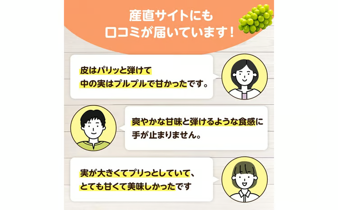 【2026年先行予約】 小さなぶどう園の シャインマスカット ご家庭用 2～3房 1kg以上 ここちとふぁーむ 岡山産シャインマスカット ぶどう シャインマスカット 真庭市 【koko002-02】