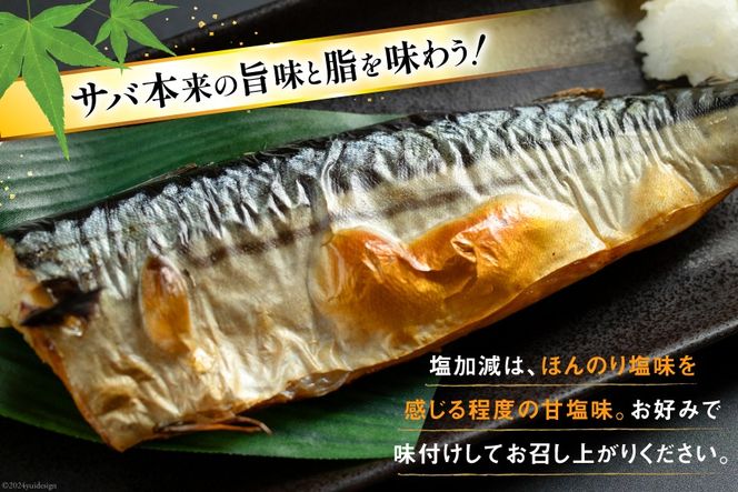 訳あり 減塩 無添加 塩サバ フィレ 総重量 3.5kg (17-24枚入れ) [足利本店 宮城県 気仙沼市 20564775] 訳アリ サバ サバフィレ さば 鯖 トロ 塩分控えめ サバフィーレ 鯖フィレ 塩さば 塩さばフィレ 切り身 訳ありサバ わけあり 冷凍