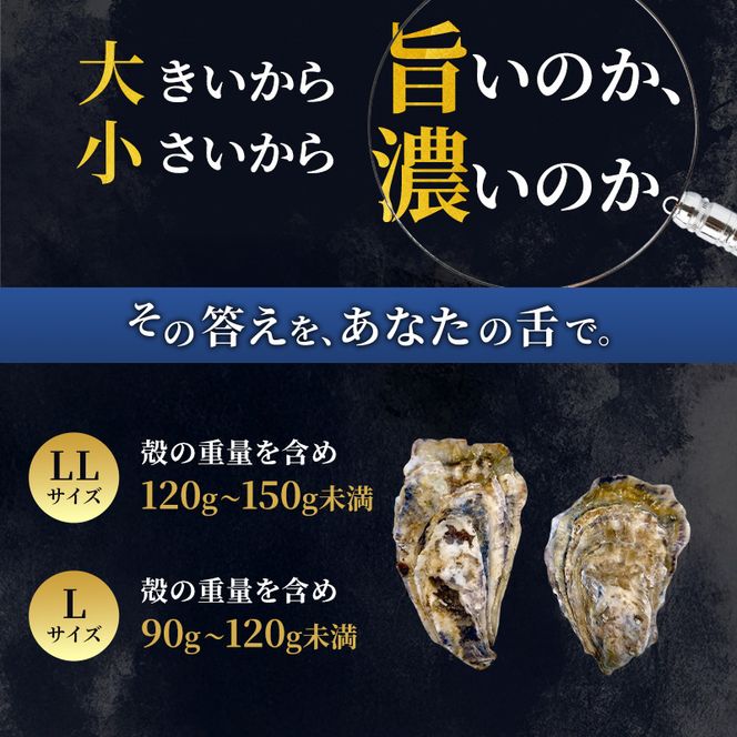 厚岸産 ブランド 殻付カキ マルえもん 生食用 サイズ食べ比べ 12個 (LL・L各6個)[ 魚貝類 生牡蠣 かき 牡蠣 カキ 生ガキ 食べ比べ ]