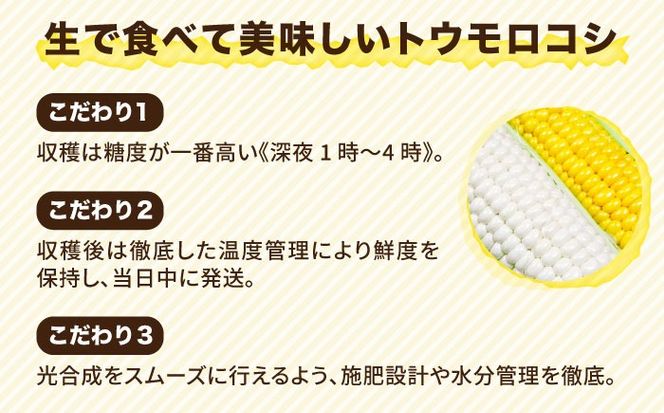 【先行予約】 糸島 トウモロコシ 『もきっこ』 白 黄 ミックス （ 10本前後 ）【2025年6月下旬以降順次発送】 《糸島》 【内田農業】 [AZH003]