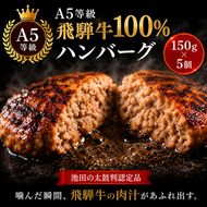 ふるさと納税　飛騨牛 ハンバーグ ロースバーグ 150g×5枚 計750g  和牛 