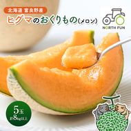 【2026年夏発送】富良野産 ヒグマのおくりもの(メロン)[5玉 計8kg以上] フルーツ 果物
