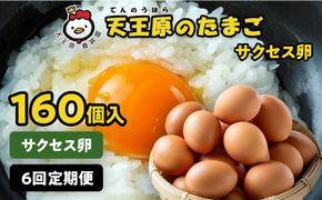 【定期便】６回定期【天王原のたまご】 サクセス卵160個入り