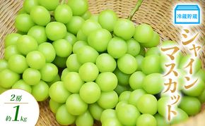 【2026年発送】冷蔵貯蔵 シャインマスカット 2房 約1kg ぶどう ブドウ 葡萄 マスカット 果物 フルーツ 長野県 長野 山ノ内町