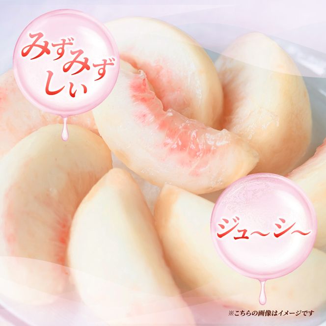 桃 先行予約 浅間水蜜桃 あかつき 約5kg 秀品 13～22玉 贈答品 フルーツ 果物 白桃 白鳳 甘い 冷蔵
