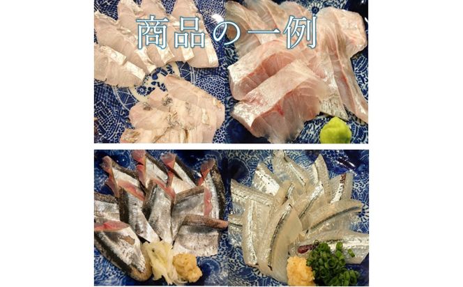 魚で肴 詰め合わせ (天然物のみ4種類） 【 海鮮料理 冷凍 天然 贅沢 仙台市 】 041009_GN001