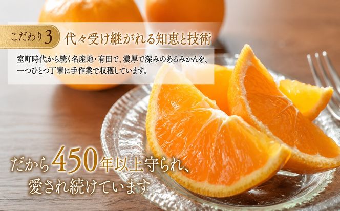  2.有田みかん「未来への虹」（10kg） (A2-2)