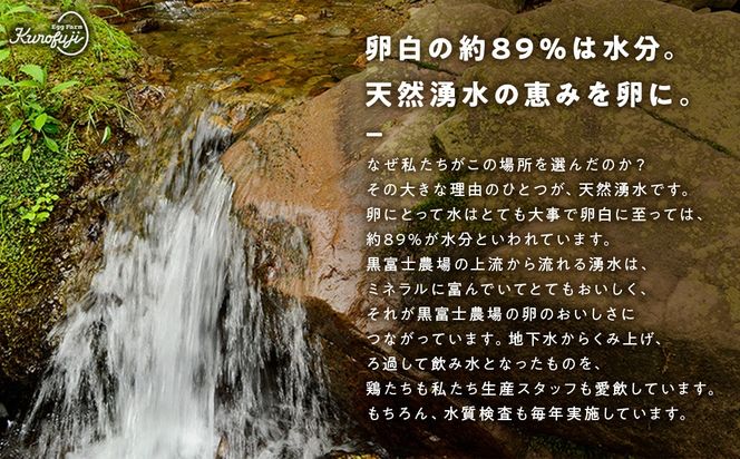 黒富士農場の卵食べ比べセット 30個　人気　おすすめ　国産　贈答　ギフト　お取り寄せ　卵　たまご　タマゴ　玉子　鶏卵　自然卵　放牧卵　平飼い　新鮮　たまごかけご飯　B-28