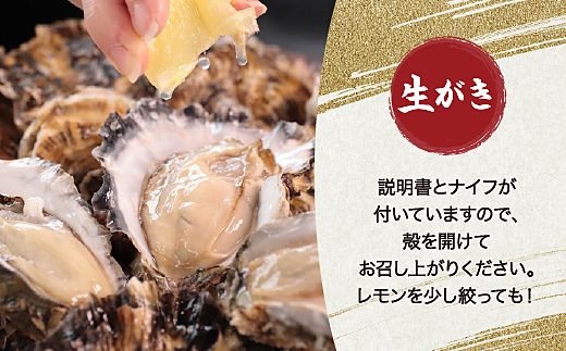 【先行予約／2026年12月より順次発送】I-55生食用浦村牡蠣１５個入りセット