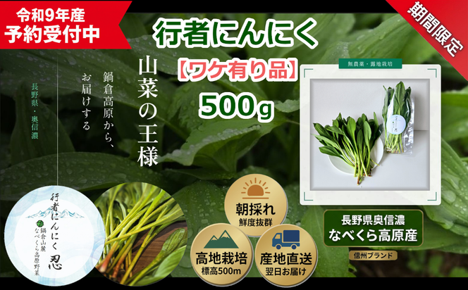 【令和9年産先行予約】＼訳あり／行者にんにく 忍 500g入り 1箱(70枚～75枚)《出荷時期：2027年5月中旬頃〜》株式会社ForestDoor  (Ce-014)
