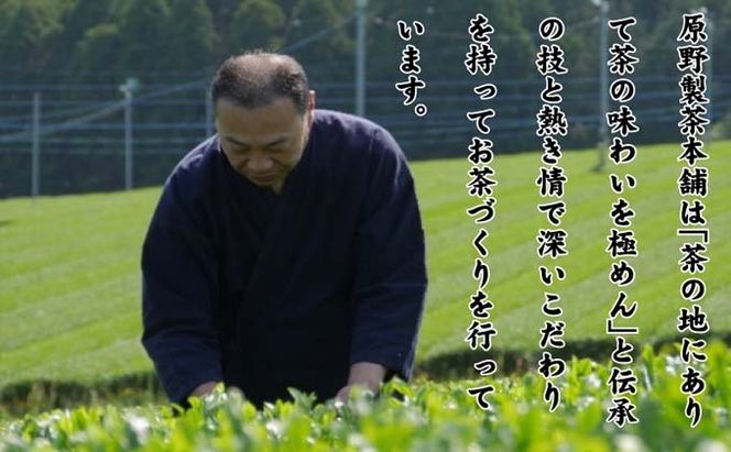 緑茶 八女茶 1kg 250g×4袋　 お茶 飲み物 飲料 普段使い 程よい渋味 苦味 さわやか 爽やかな香り 旨み 煎茶 お茶出し 日本茶 茶葉 お茶っ葉 