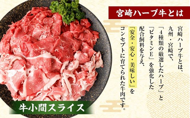 ＜宮崎ハーブ牛どんげねセット＞入金確認後、翌月末迄に順次出荷【c005_fw_x2】