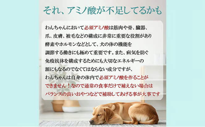 ドッグフード 熟成肉ジャーキーおやつ詰合せセット