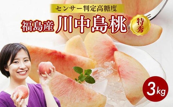 透過式光センサー川中島白桃 特秀3kg相当 9玉～11玉＜ ふくしま未来農業協同組合 ＞ | ふくしま 桃 福島 もも 国見 モモ ※2026年8月中旬頃より順次発送予定 ※沖縄・離島への配送不可