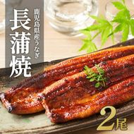 ふるさと納税限定　鹿児島県大崎町産 国産 うなぎ長蒲焼 2尾 計320g以上 | 鰻 うなぎ蒲焼き うな重 ひつまぶし ウナギ 蒲焼 人気 おすすめ 鹿児島 大隅半島 DU001　 464686_DU001