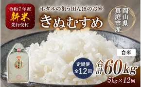 ＜定期便 全12回＞ 令和7年産 真庭市産きぬむすめ 白米5kg×12回 / お米 国産 岡山県 米 人気 ブランド 2025年産 【tkns-tkb015-cho】