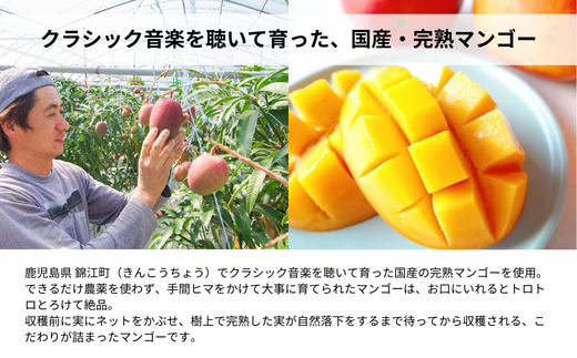 こびとジャム：クラシックマンゴー＆ハニー A-MM-A27A