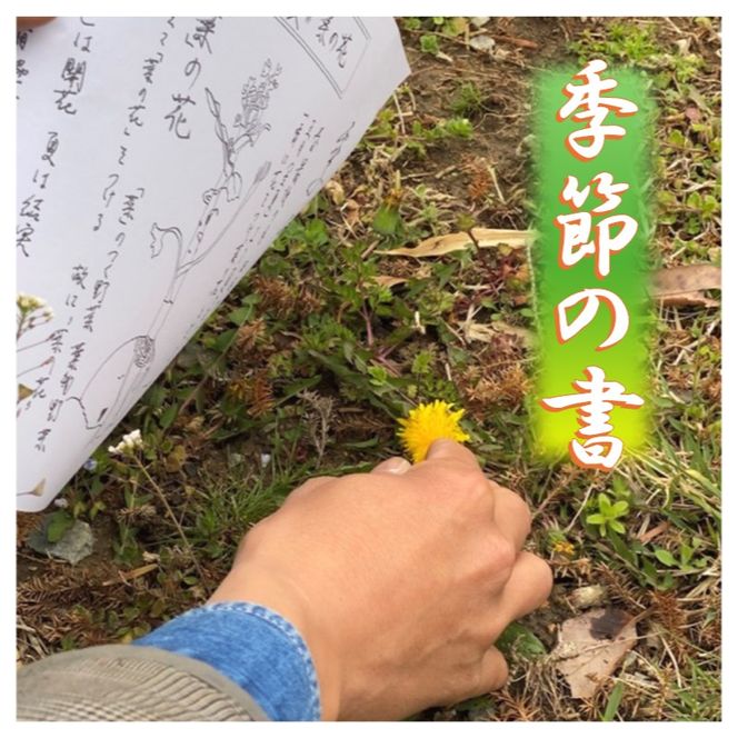 食べない野山の恵 豊かな生活体験セット”四季のたしなみ” 体験 セット 季節 お楽しみ 雑貨