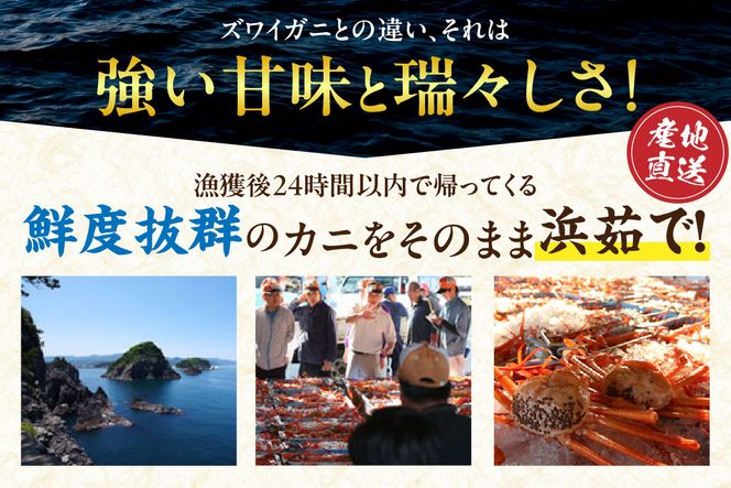 《12/21まで年内発送》【香住ガニ甲羅盛り プチ贅沢！冷凍 甲羅盛り70g×5 カニ味噌10g×5袋】本場 香住産 急速冷凍 香住漁港 香美町 兵庫県 日本海 国産 かに ベニズワイガニ 甲羅 マルヤ水産 15000円 11-15
