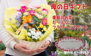 【母の日 ギフト】季節のフラワーバスケット【白鉢】（オンライン決済限定） 花 