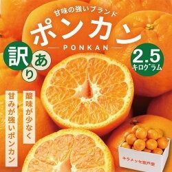 【訳あり】人気の柑橘室戸産ポンカン２.５㎏　rk007