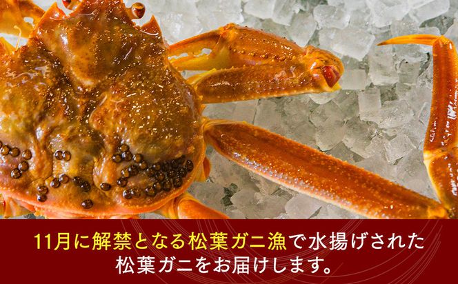 1035.鳥取県産　タグ付きボイル松葉ガニと活松葉ガニの欲張りフルコース特大2枚セット　(900g～1kg)　※2026年11月上旬～2027年3月下旬頃に順次発送予定 313726_AL034