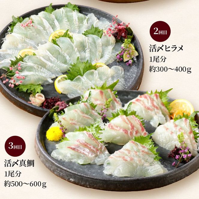 【お楽しみ定期便】延岡産活〆鮮魚の豪華お刺身 （6ヶ月定期便）請関水産　N019-YF073