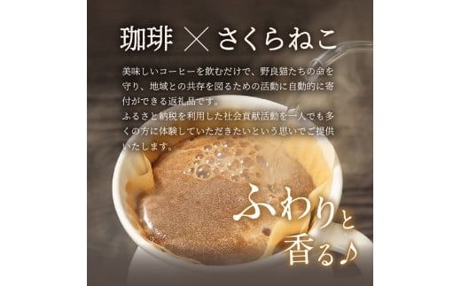 メール便発送【訳あり】野良猫保護支援 さくらねこ ブレンドコーヒー 富士山の湧き水で磨いた スペシャルティコーヒー 【 豆 320g / 粉 320g / ドリップ 12g×16袋 】 コーヒー 珈琲 ブレンド スペシャルティコーヒー 挽き立て ドリップコーヒー 山梨 富士吉田