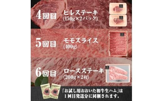 ＜定期便・全6回(連続)＞豊後牛・おおいた和牛定期便(総量2.4kg) 牛肉 国産 和牛 焼肉 切り落とし ヒレ ヒレ肉 ステーキ ロース すき焼き しゃぶしゃぶ 大分県 佐伯市 【FW015】【ミートクレスト】
