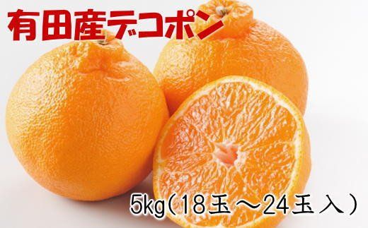 【お味濃厚】紀州有田産のデコポン約5kg(18玉～24玉入り・青秀以上) ※2027年2月中旬～2027年3月中旬頃順次発送【tec810B】