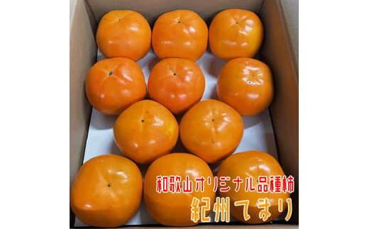 紀州てまり 22～32玉 約7.5kg入り【和歌山オリジナル品種柿】 ※2026年11月上旬～11月下旬頃に順次発送予定【GO-09】【ard224A】