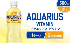 【2回定期便】 アクエリアス ビタミン PET (500ml×24本)×1ケース コカ・コーラ Coca-Cola AQUARIUS 水分補給 熱中症対策 部活 運動