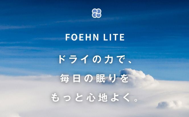 IBS0014 cado カドー ふとん乾燥機 FOEHN LITE フェーンライト ウォームグレー【布団乾燥機 乾燥機 家電 小型 一人暮らし 1人暮らし 電気 部屋干し コンパクト 持ち運び 温風 パワフル】