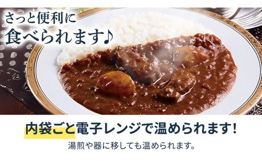 新宿 中村屋 インドカリー ビーフスパイシー 40個 レトルト レトルトカレー カレー 常温 温めるだけ 人気 洋食 時短 インドカレー スパイシーカレー 長期保存 災害用 保存食 レンチン レンジ [DM011us]