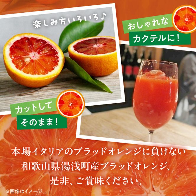 AB7374_Y_【直営限定】《先行予約・2026年3月～発送》希少柑橘 ご家庭用 ブラッドオレンジ　サイズ混合/ご家庭用/1kg(傷み補償200g)