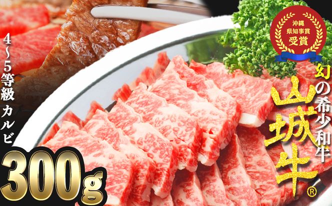 【入手困難】【幻の黒毛和牛】『山城牛』【雌牛限定】カルビ　焼肉カット250g