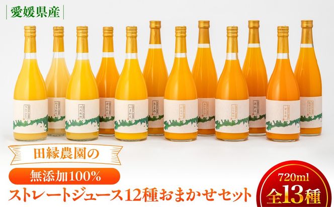 【先行受付】【数量限定】【愛媛県産】田縁農園の無添加100% ストレートジュース12種おまかせセット 720ml 全12種（2026年1月より順次発送） IKTA013
