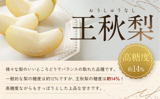 【先行予約】ギフト用 数量限定 鳥取県産”王秋梨（おうしゅうなし）” 約5kg （8～15玉）≪2026年11月中旬頃出荷≫ 312011_GT005