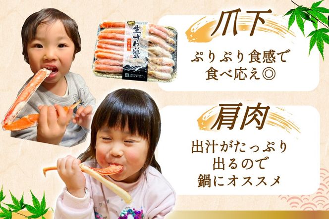 かに【年内配送】 カット済 生 ずわいがに むき身 セット 総重量 750g (正味重量600g) 2-3Lサイズ [カネダイ 宮城県 気仙沼市 20565652] かに カニ ズワイガニ ずわい ズワイ 蟹 棒肉 ポーション かに鍋 かにしゃぶ 生ずわい