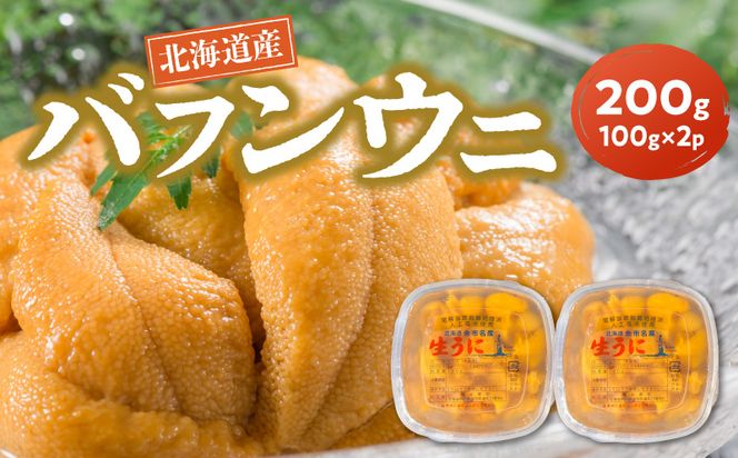 【2027年夏発送】塩水ウニ【バフンウニ】 100g×2パック 計200g 北海道余市町産 塩水ウニ発祥の地 高級ウニ 高級雲丹 バフンウニ 赤うに 目利き 北海道産ウニ 余市産ウニ 雲丹 うに 塩水うに_Y037-0360