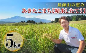米 お米 鳥海山の恵み 農家直送！ あきたこまち 5kg［精米 したて！］ サブスク