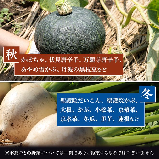 野菜 お米 詰め合わせ セット 無農薬 野菜セット 米 2kg 栽培期間中農薬不使用 2キロ 京都 京野菜 丹波野菜 京都やおよし 産直 新鮮 オーガニック 腸活 タイパ 詰めあわせ 食育 健康 ギフト