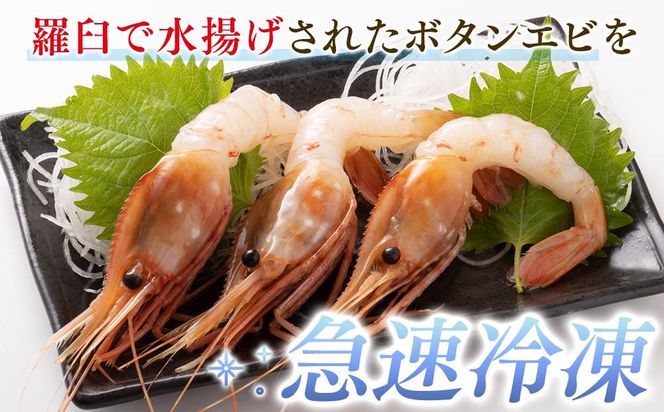 知床羅臼ボタンエビ(大) 500g(250g×2）生産者 支援 応援 016942_AH208