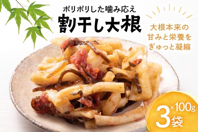 割干し大根 100g×3袋 [山商幸産 宮崎県 日向市 452061828] 大根 国産 野菜