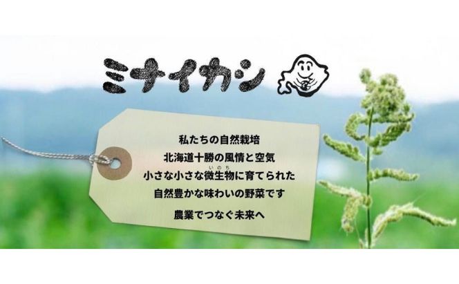 自然栽培かぼちゃをマッシュした「ミナイカシの皮イイカボチャ」110g×6 野菜 根菜 野菜加工品 南瓜 