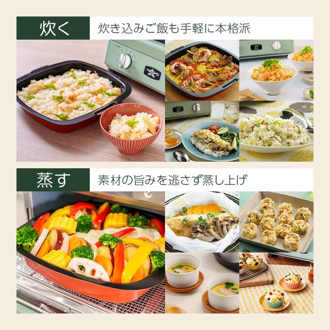 ふるさと納税 限定モデル アラジン グリル ＆ トースター 4枚焼き 緑 グラファイト 家電